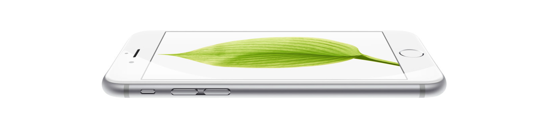 iPhone 6